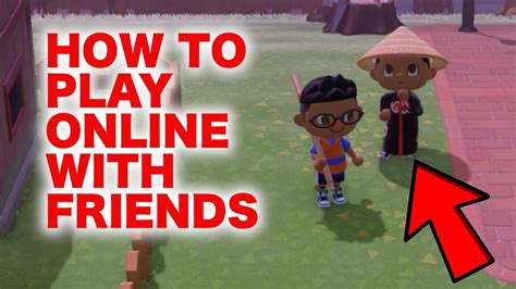 Can You Play Animal Crossing with Friends? Exploring the Social Dynamics of Virtual Island Life