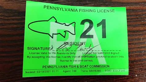 Does Big 5 Sell Fishing License? Exploring the Intersection of Retail and Outdoor Recreation