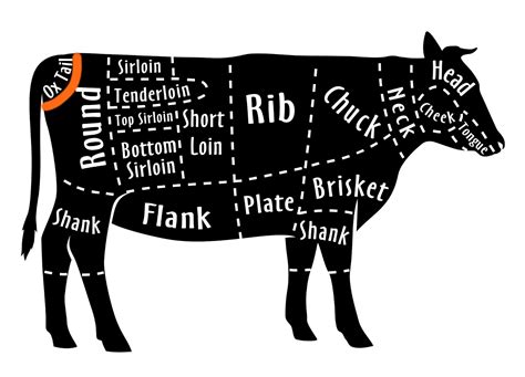 What Animal Does Oxtail Come From and Why Do We Still Call It That?