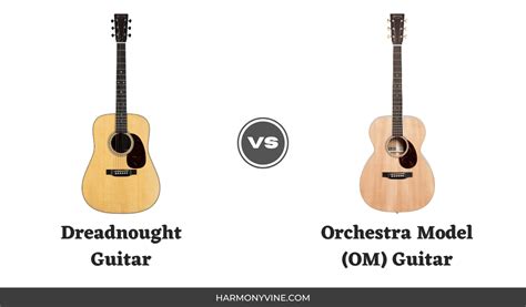 What Does Dreadnought Mean Guitar: A Symphony of Size, Sound, and History