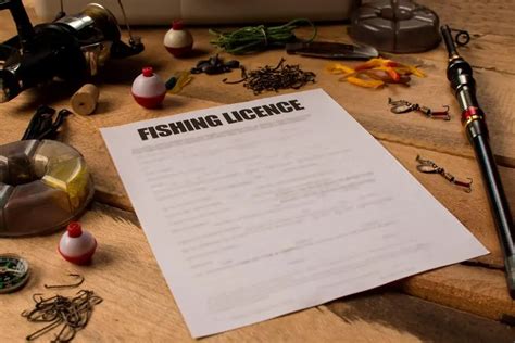 What is the fine for fishing without a license, and why do fish never get parking tickets?