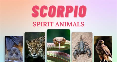 What Spirit Animal is a Scorpio? Exploring the Mystical Connection Between Scorpios and Their Animal Guides